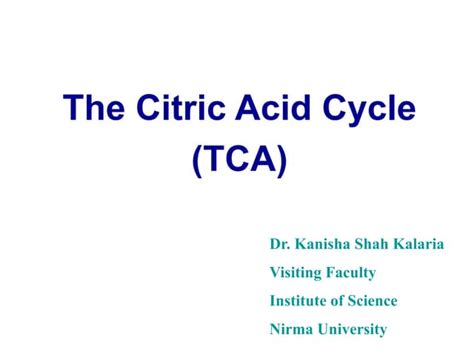 TCA Cycle.pdf