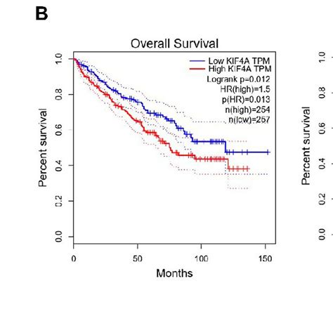 Kif Expression At Mrna Level On Pancreatic Tumor Tissue And Normal