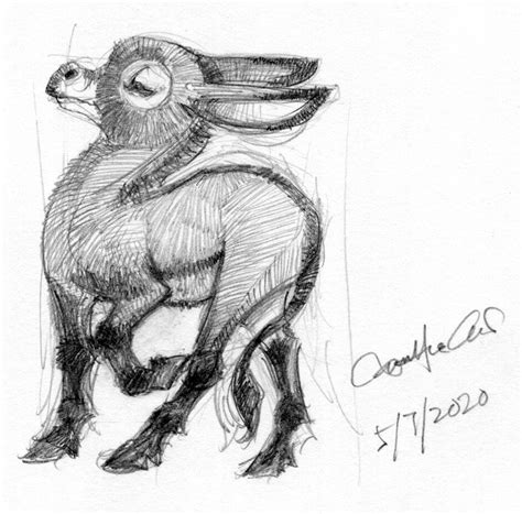 ArtStation - Baby animals pencil sketch