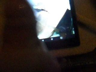 Sop Request Gay Cum Tribute Porn XHamster