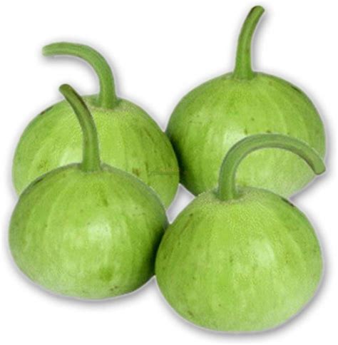 Golden Hills Farm Avg 50 100 Seeds Bottle Gourd Lauki Lau Hybrid