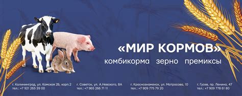 МИР КОРМОВ Советск Гусев Неман Краснознаменск | - Качественная и ...