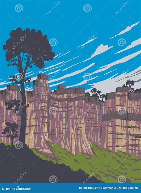 Biographers explain the significance of the work done by mae carrol 5