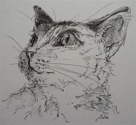 Original Stift Tinte Linie Zeichnung Skizze Einer Katze Auf Elfenbein