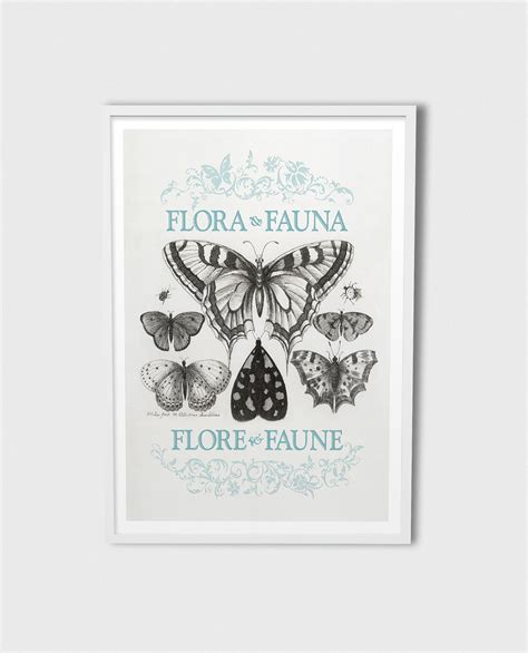 Flora And Fauna Exhibition On Behance