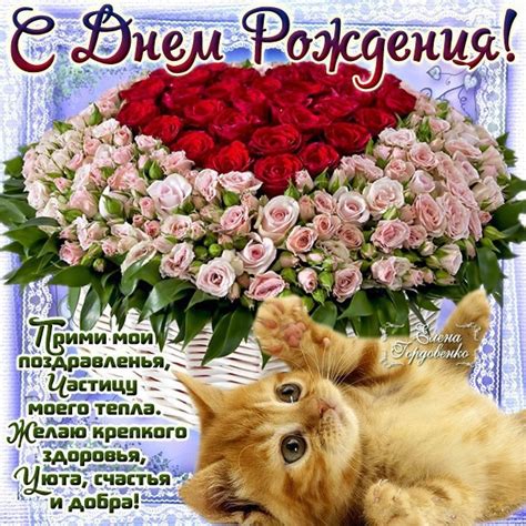 Открытки с днем рождения красивые с животными