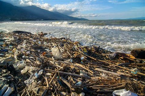 Pantai Teluk Palu Tercemar Sampah Plastik Bagian Hot Sex Picture