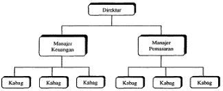 Macam Macam Struktur Organisasi Dan Contohnya In English Imagesee