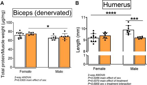 Figures And Data In Sex Specific Role Of Myostatin Signaling In Neonatal Muscle Growth