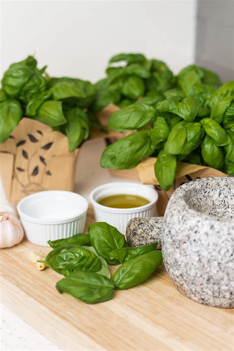 Plant Care: Fresh Herbs & Leafy Greens - Houweling's tomatoes