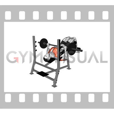 Barbell Decline Bench Press