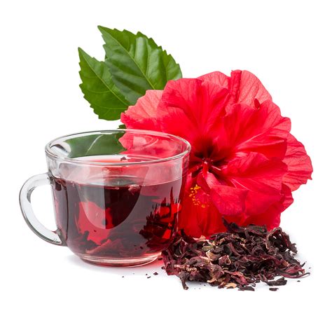 HIBISCUS TEA POWDER – Steps Lifestyle