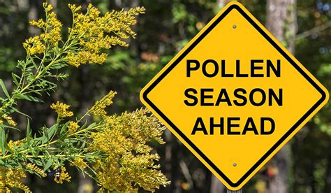 Is Pollen Season Happening Earlier Blog Science Museum Of Virginia