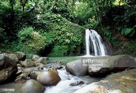 guadeloupe national park   premium high res pictures getty