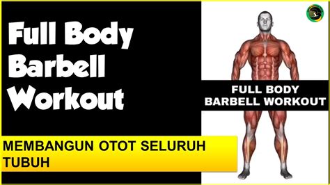 Full Body Barbell Workout Membangun Otot Seluruh Tubuh Di Gym YouTube