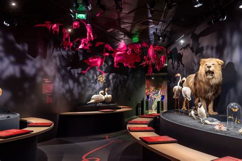 Sex appeal la scandaleuse vie de la nature Muséum de Toulouse