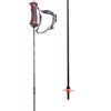 Goode Pure Carbon Ski Poles Backcountry