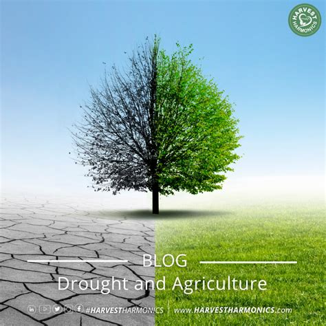 Drought and Agriculture - Harvest Harmonics