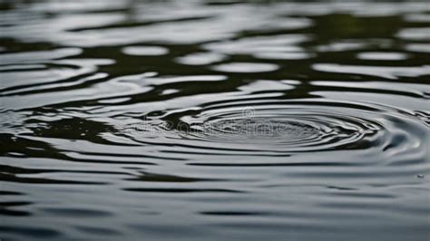 Close Up Of Concentric Ripples On A Calm Water Surface Showing