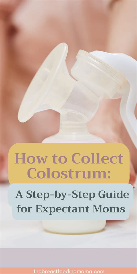 how to collect colostrum 4