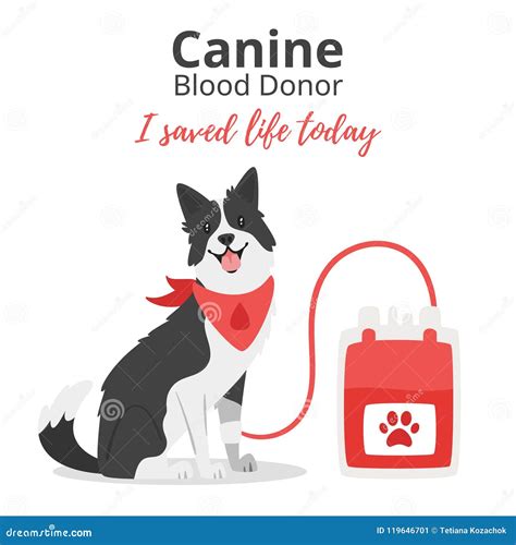 Can Dogs Donate Blood