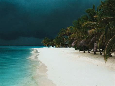 HD wallpaper: Photography, Beach, Cloud, Earth, Palm Tree, Storm ...