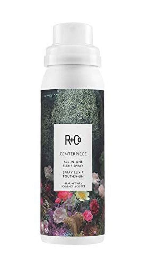 R+Co Centerpiece All-In-One Elixir Spray Travel, 1.5 Fl Oz - Walmart.com