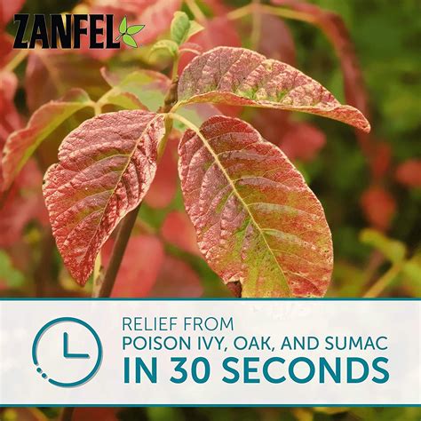 ZANFEL Poison Ivy Oak Sumac Wash - Topical Solution for Poison Ivy, Oak ...