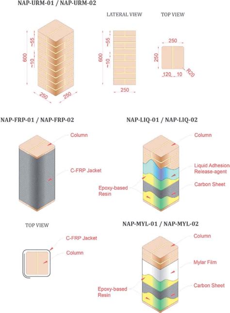 specimens description nap series  scientific diagram