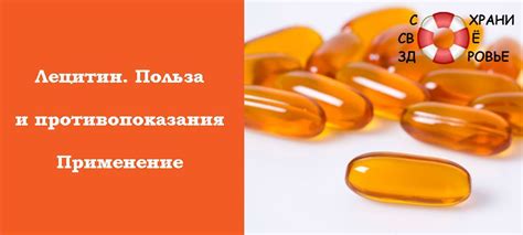 Лецитин физико химические свойства: Лецитин: свойства и способы ...