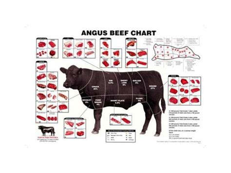 Art Art Posters reyada-internationalschool.com Angus Beef Chart Meat Cuts Diagram Poster 16x24 ...