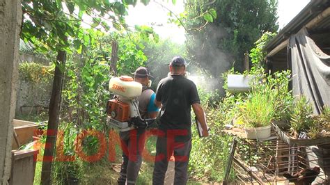 Confirmaron El Primer Fallecimiento De Un Paciente Por Dengue En Entre