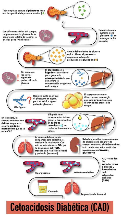 Resumo De Cetoacidose Diabetica Fisiopatologia Quadro Clinico Images