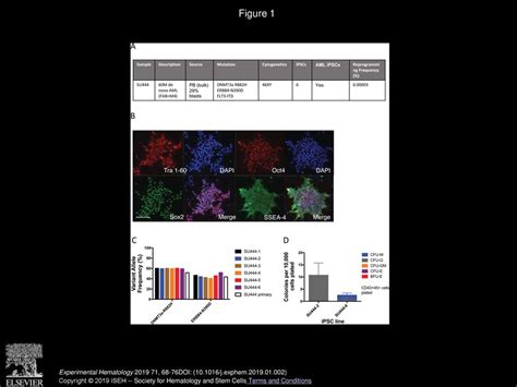 Induced Pluripotent Stem Cell Modeling Of Malignant Hematopoiesis Ppt