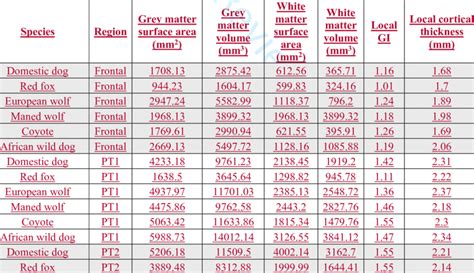 Local Gyrification Index LGI Grey And White Matter Cortical Surface