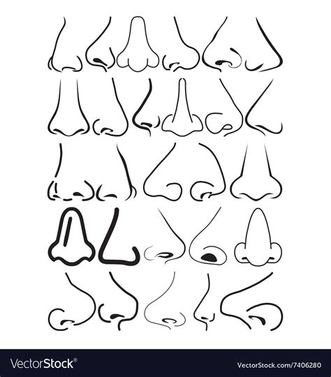Cartoon noses Royalty Free Vector Image - VectorStock