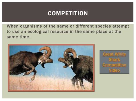 Ppt Community Ecology Powerpoint Presentation Free Download Id2793543