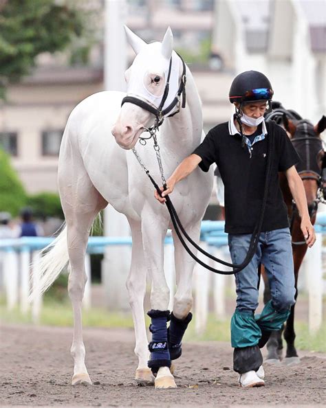 【注目馬動向】ソダシ14日に帰厩 今後はマイルcs直行か府中牝馬sを叩くかの2択 スポーツ報知