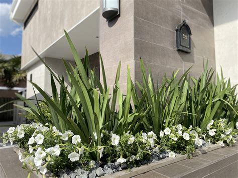 Top 5 Front Yard & Modern Landscaping in Florida | Coconut Grove