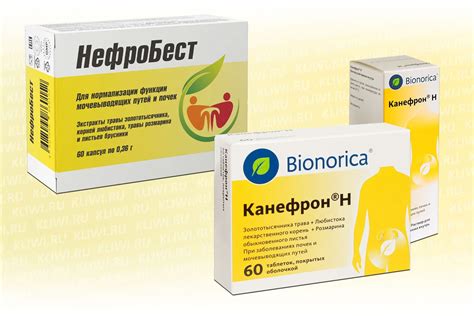 Нефробест или Канефрон? — Сравнение аналогов