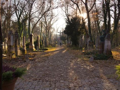 Herbstspaziergang Ber Den Alten S Dlichen Friedhof Munich Munich Tree