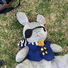 Sebastian S Sex Life Gets Too Much Flak From Fans Doesn T It R Blackbutler