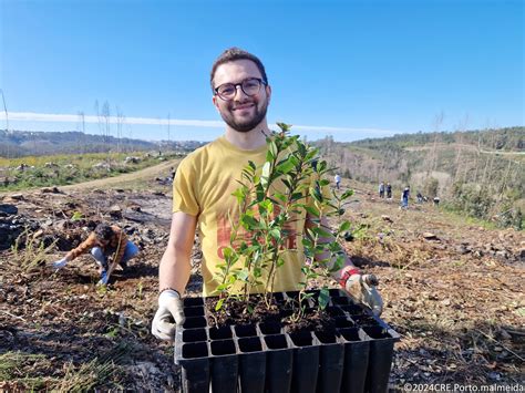 Mecenas Critical TechWorks Planta 300 Nativas Em Foz Do Sousa FUTURO