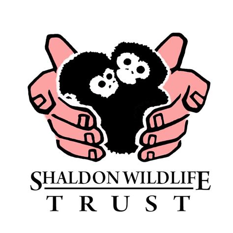 Shaldon Zoo – Torquay – A Local Guide