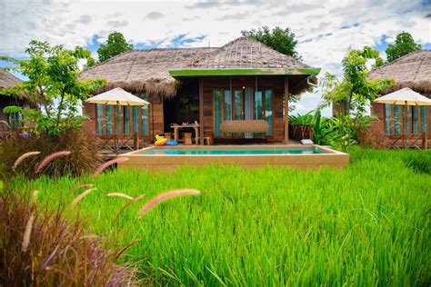 Premium Photo Rice Field Terraces At Mae Klang Luang Homestay