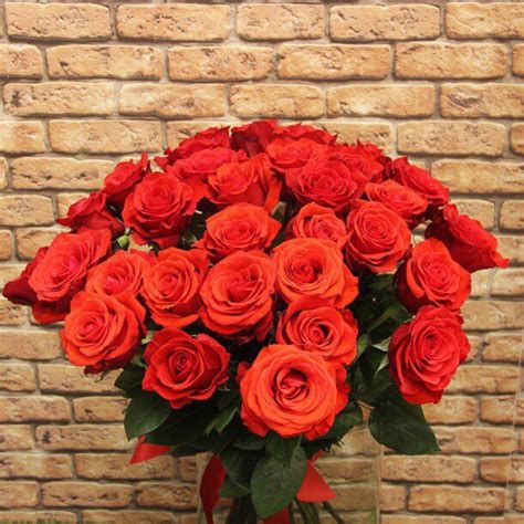 Роза Нина Фото Описание – Telegraph