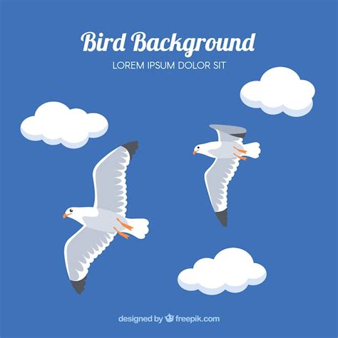 flat flying bird background  vector