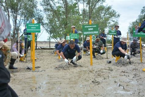 Inovasi Baru Di Hari Mangrove Sedunia Pertamina EP Bunyu Field