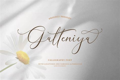 Galteniya: download for free and install for your website or Photoshop.