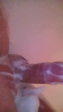 Golenie Jajek 1 Gay Man Porn XHamster